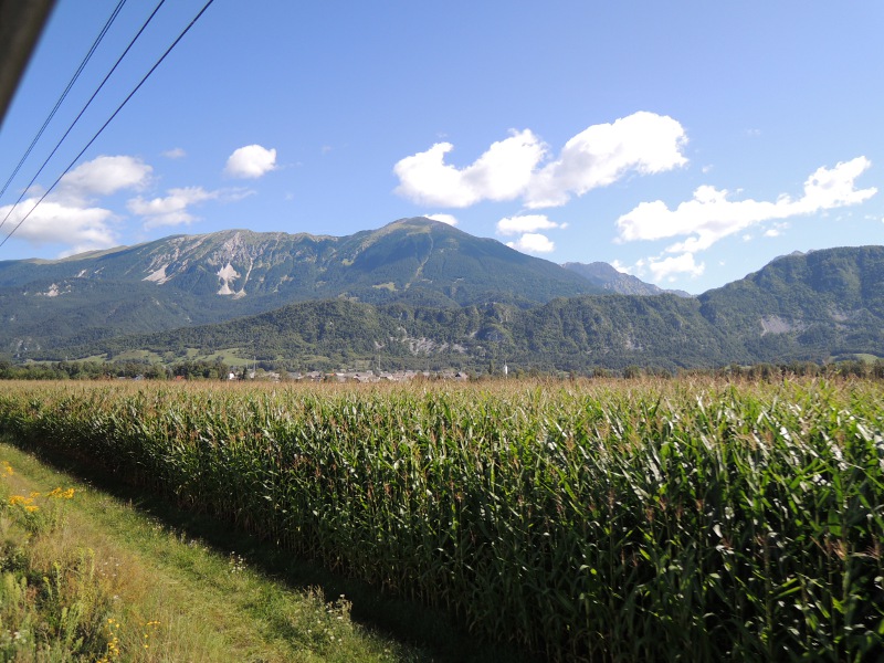 Blick auf die Alpen