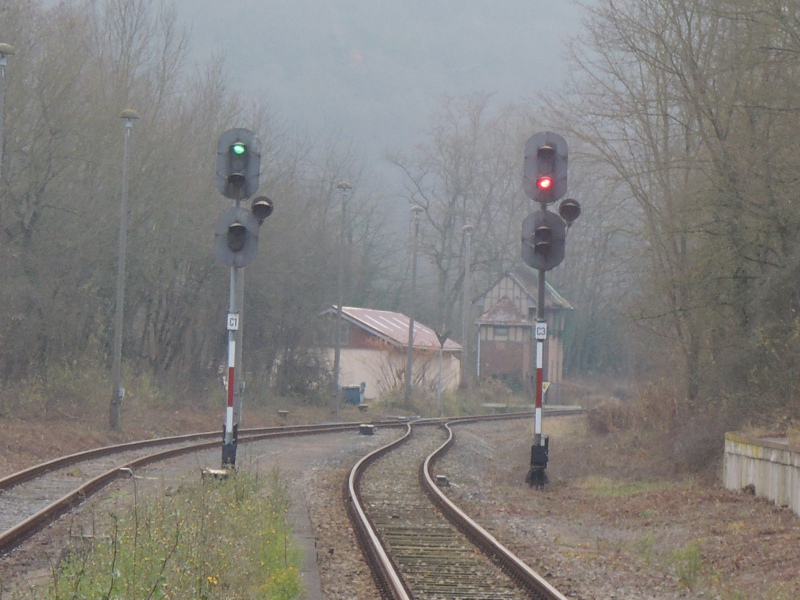 EZMG-Signale in Nebra