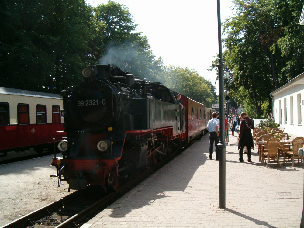 Zug des Molli in Heiligendamm