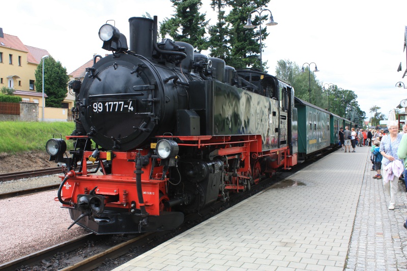 Zug des Lößnitzdackels in Moritzburg