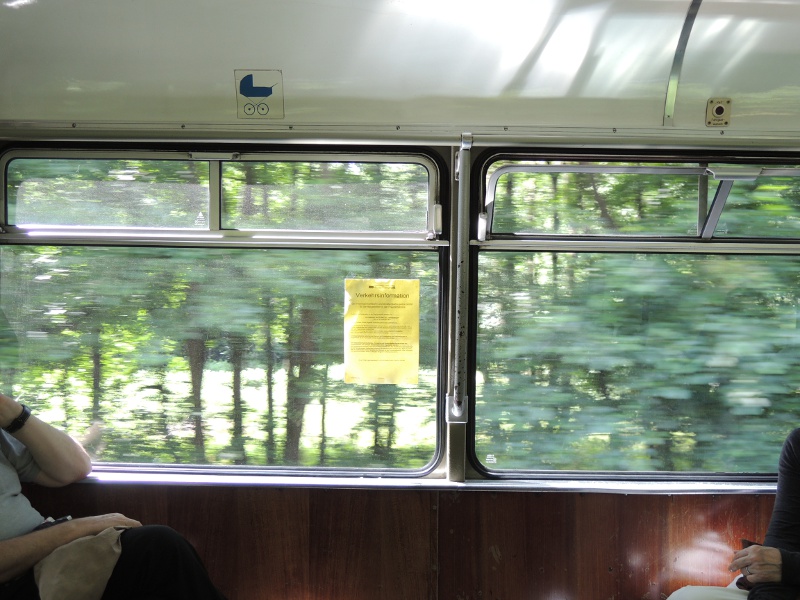 Wald, von der Thüringerwaldbahn aus gesehen